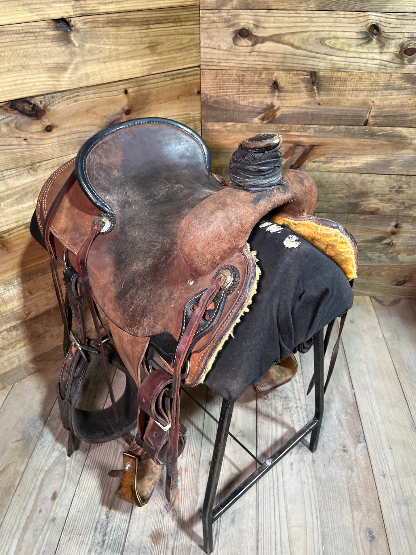 Trent Ward AZ roper ISUSED1755