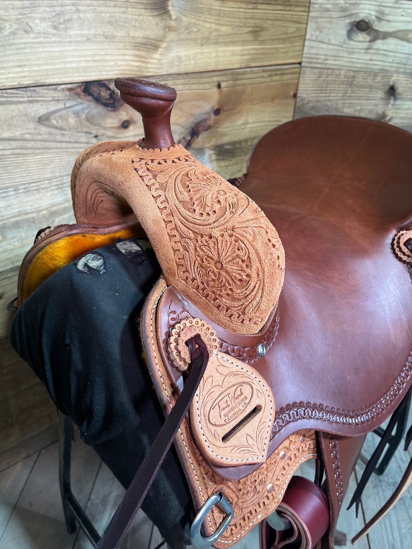 Trent Ward DL Horse ISCH147-25