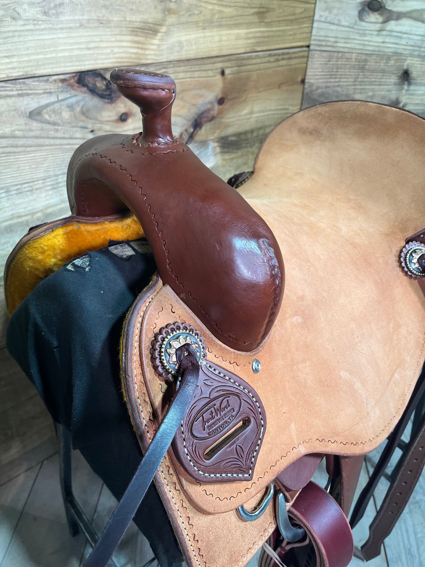 Trent Ward DL Cow Horse ISCH146-25