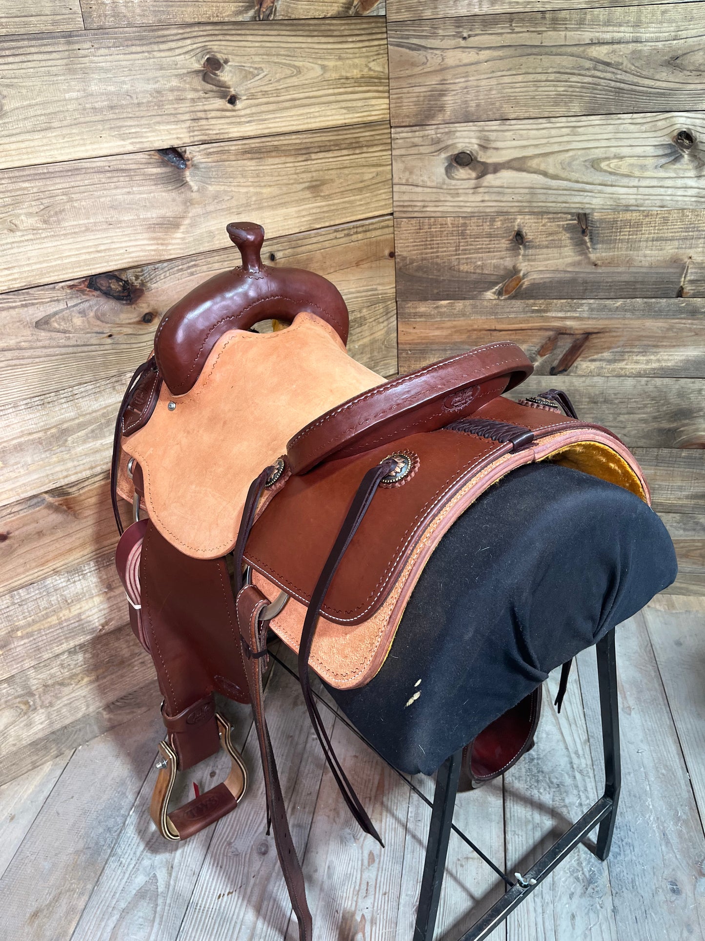 Trent Ward DL Cow Horse ISCH146-25