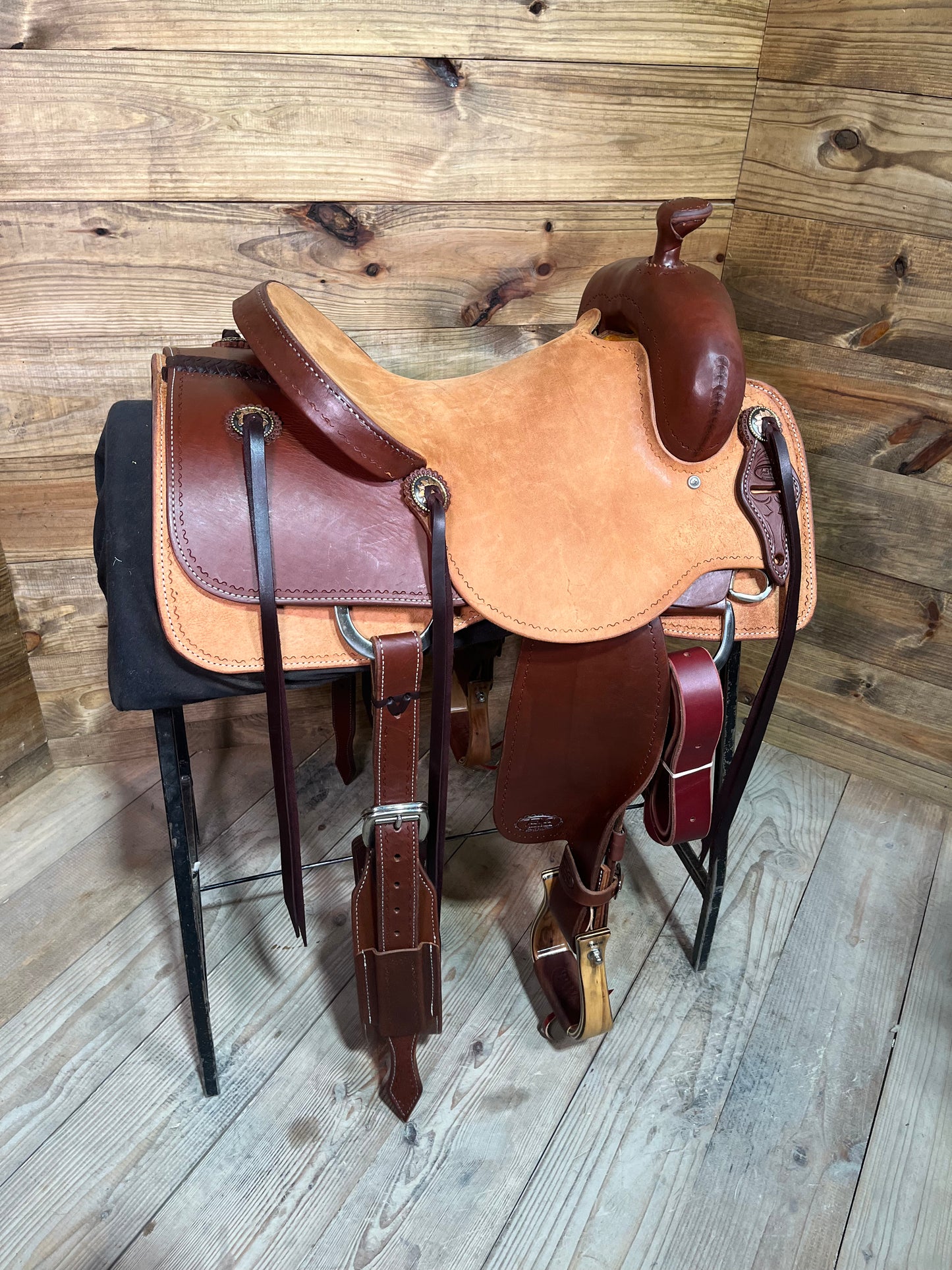 Trent Ward DL Cow Horse ISCH146-25