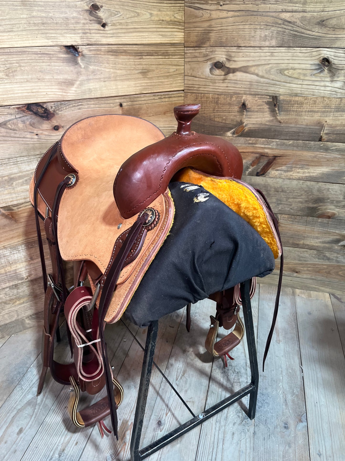 Trent Ward DL Cow Horse ISCH146-25