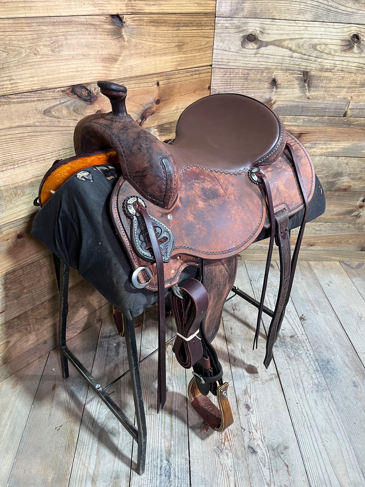 Trent Ward DL Cow Horse ISCH158-25