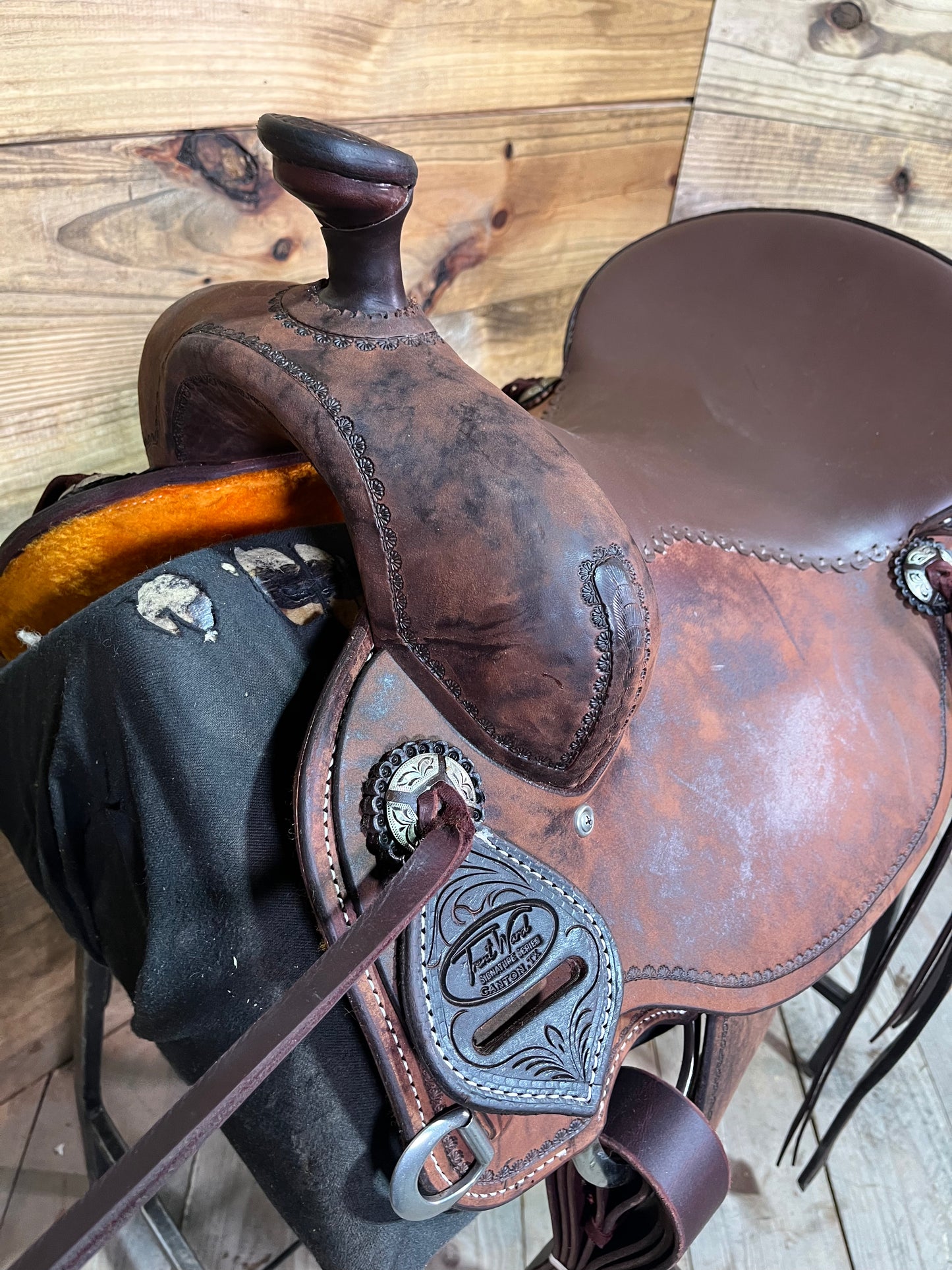 Trent Ward DL Cow Horse ISCH158-25