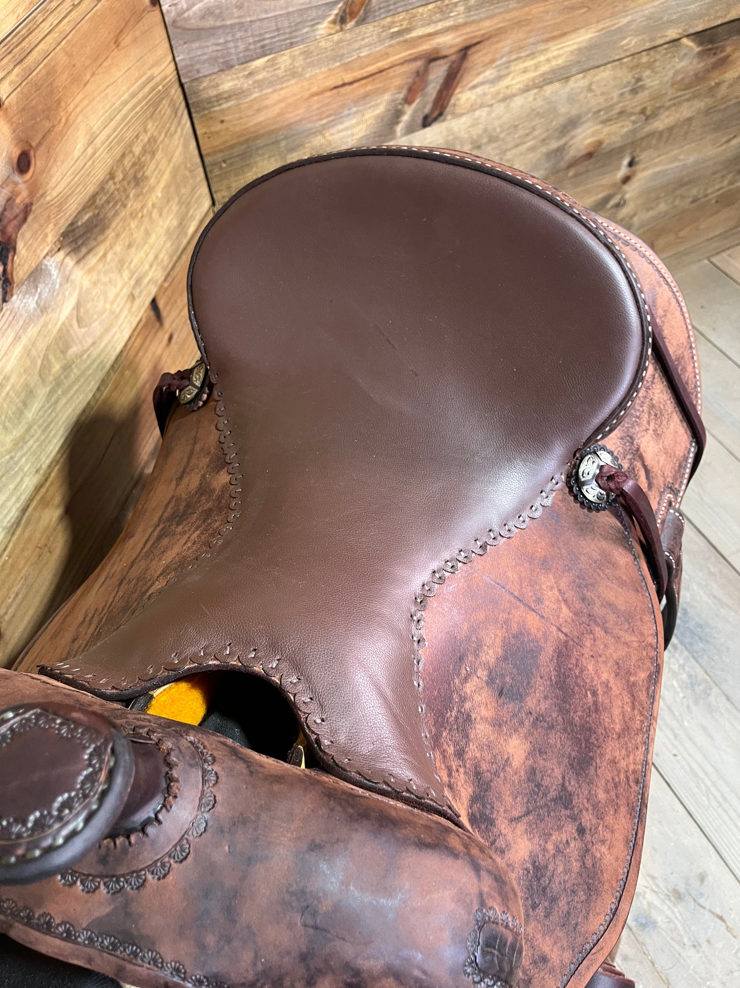 Trent Ward DL Cow Horse ISCH158-25