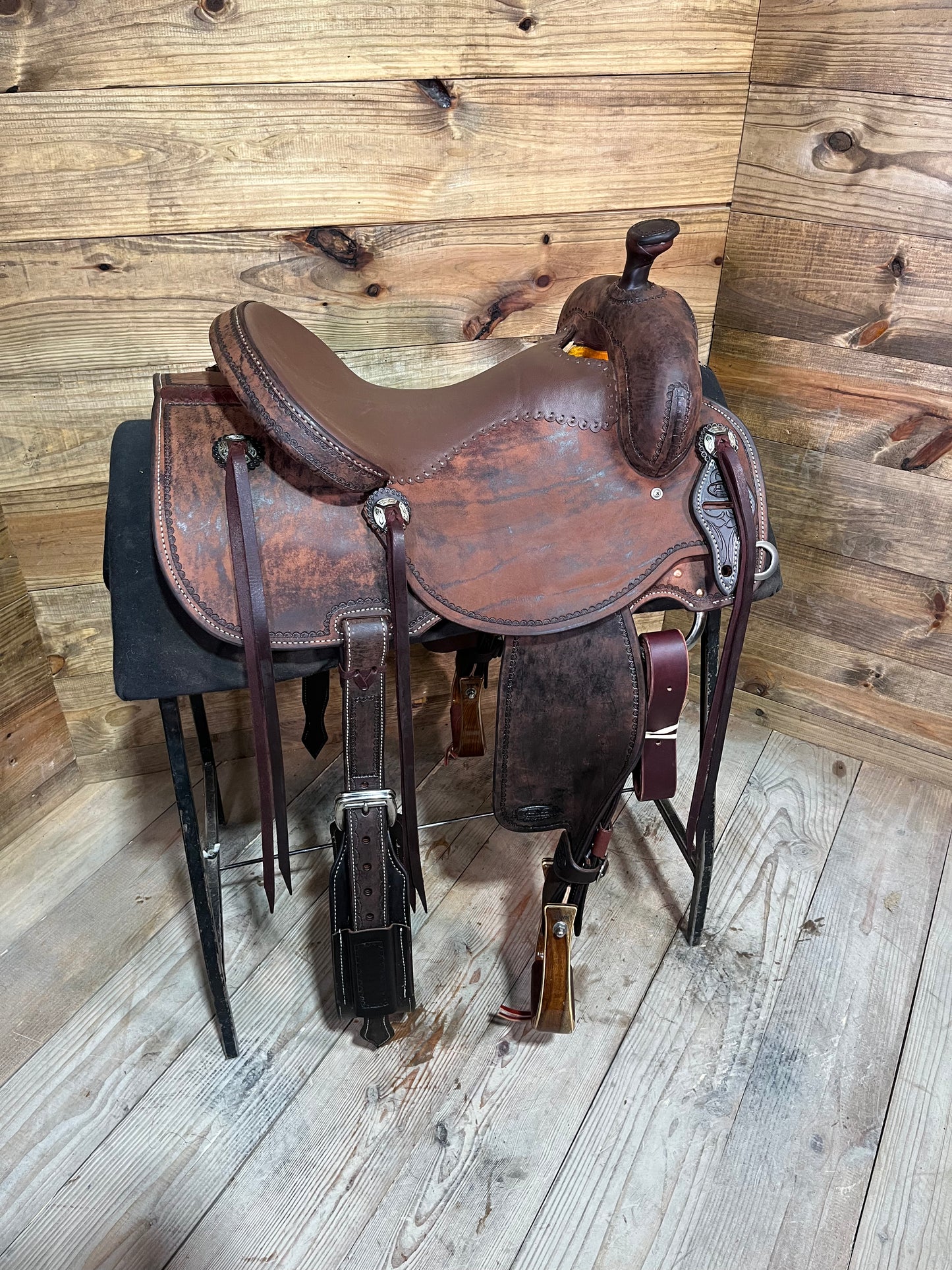 Trent Ward DL Cow Horse ISCH158-25