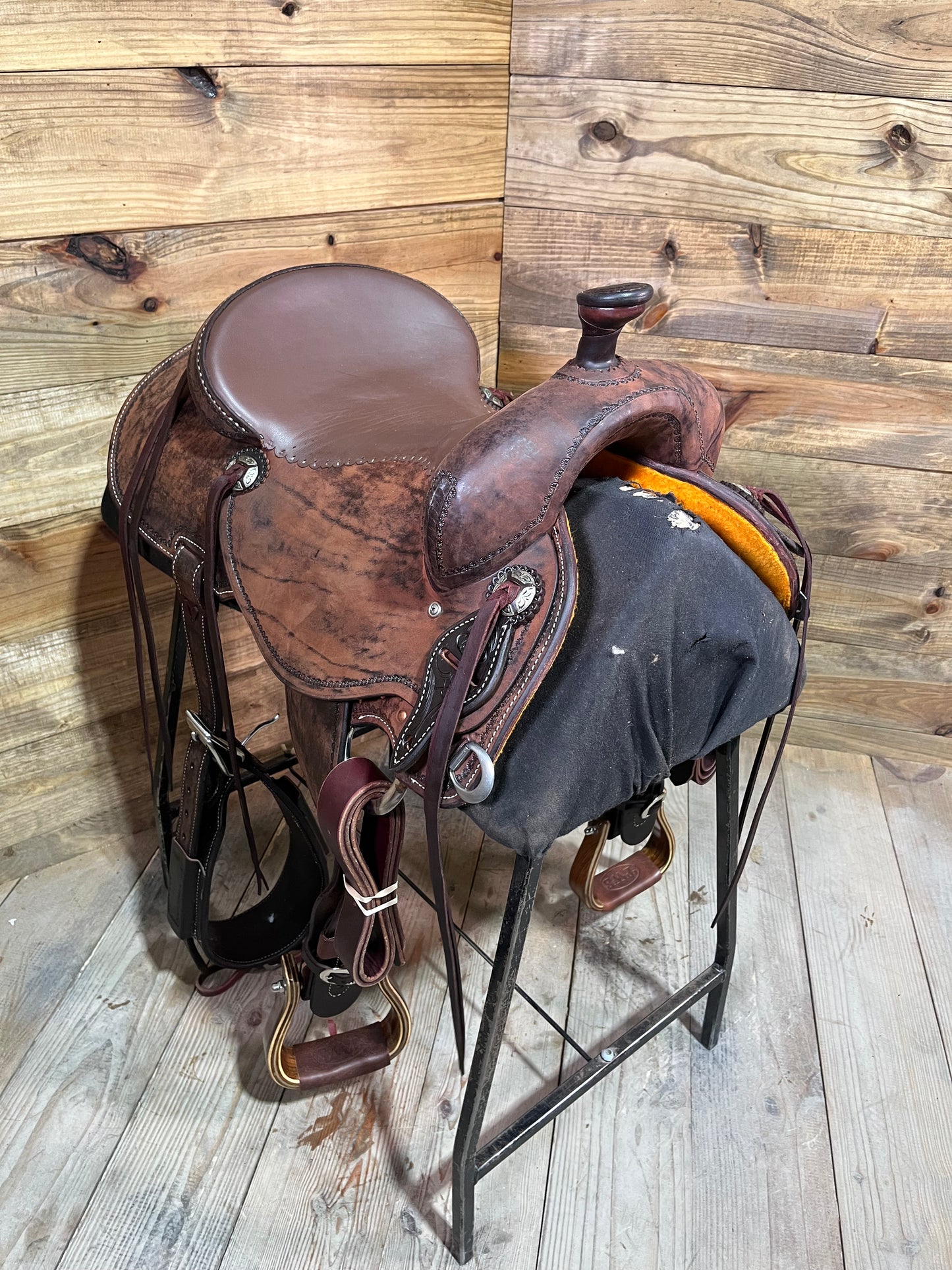 Trent Ward DL Cow Horse ISCH158-25