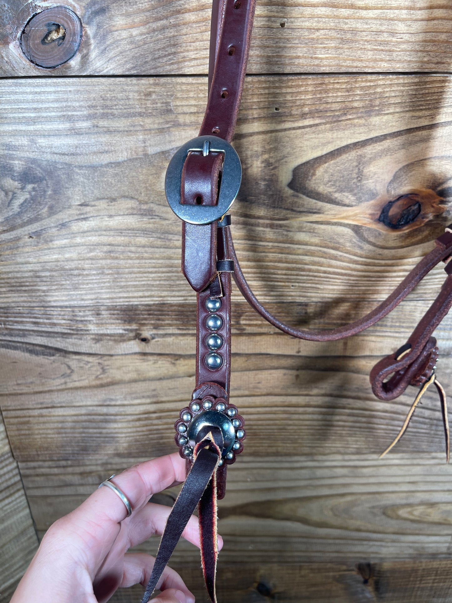 Oiled Large Dot Browband