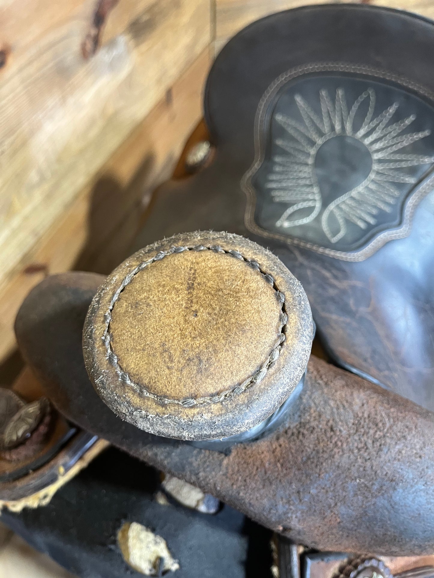 Trent Ward Platinum Roper ISUSED2007