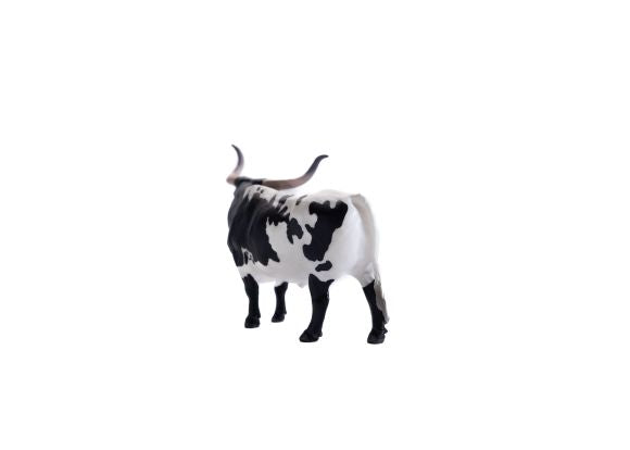 Little Buster's Longhorn Steer Black/White