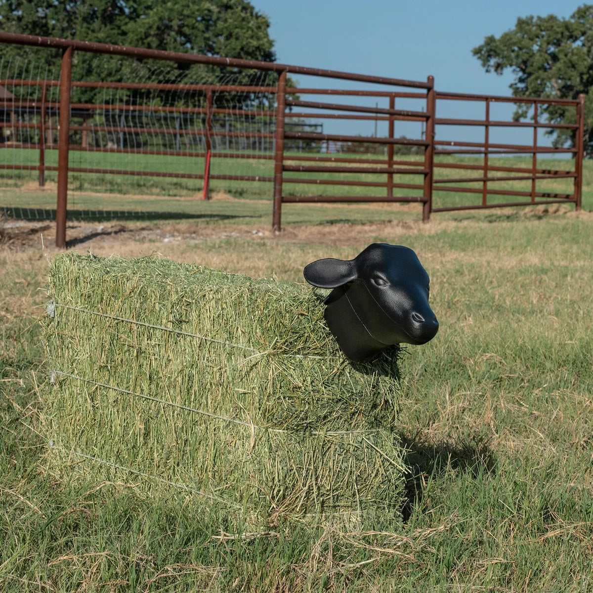 Rattler Calf Head Black