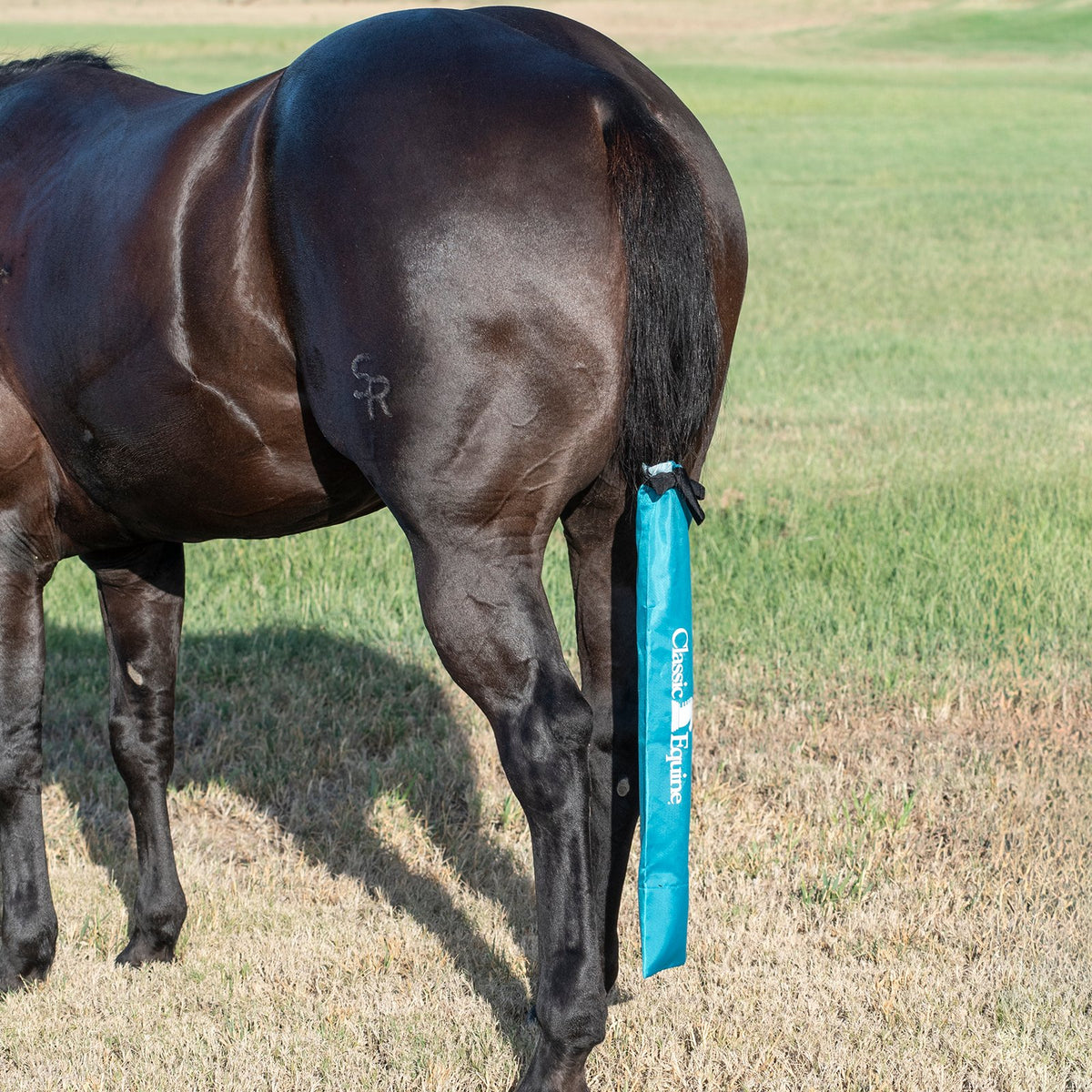 Classic Equine Slick Tail Bag Teal