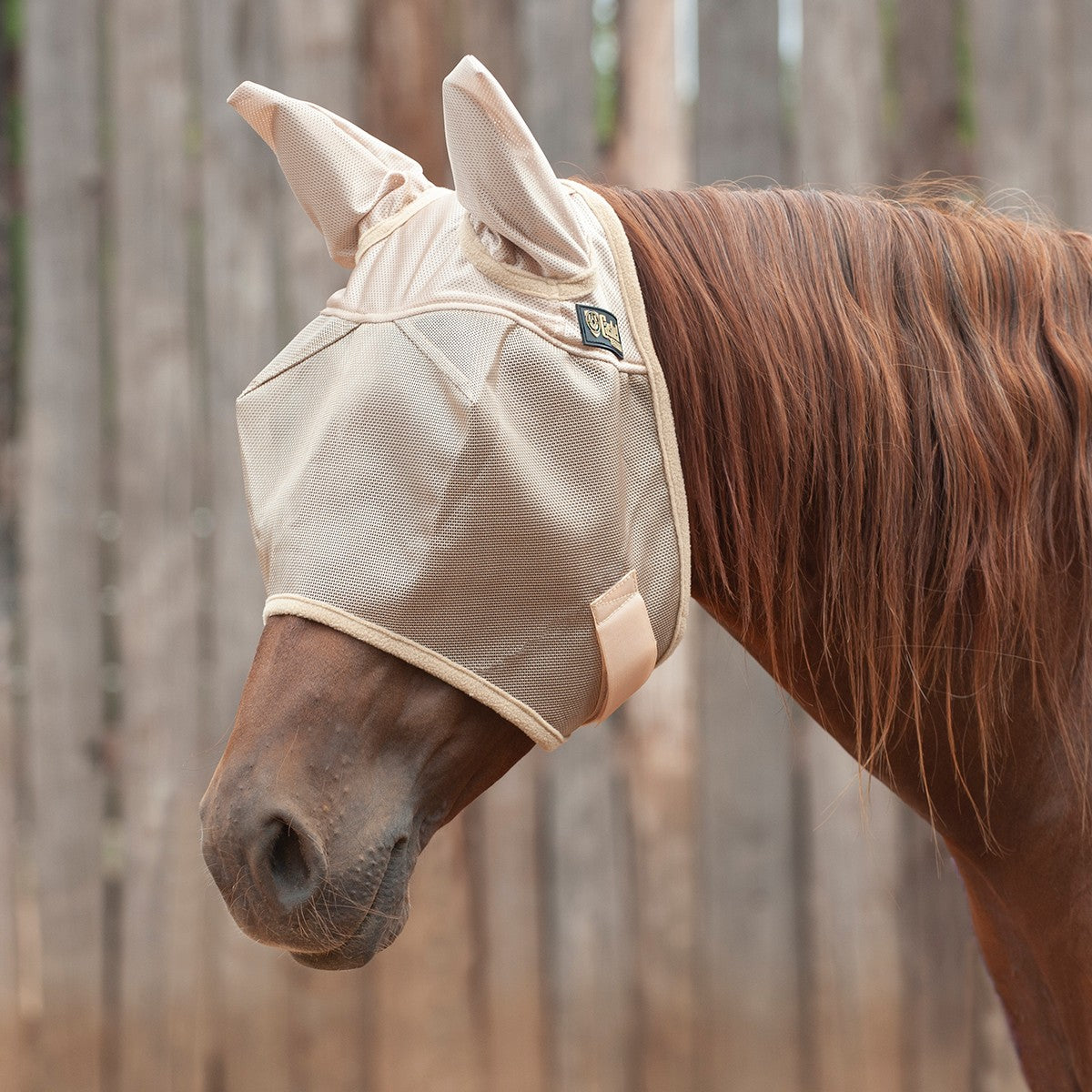 Cashel Econo Fly Mask w/ Ears