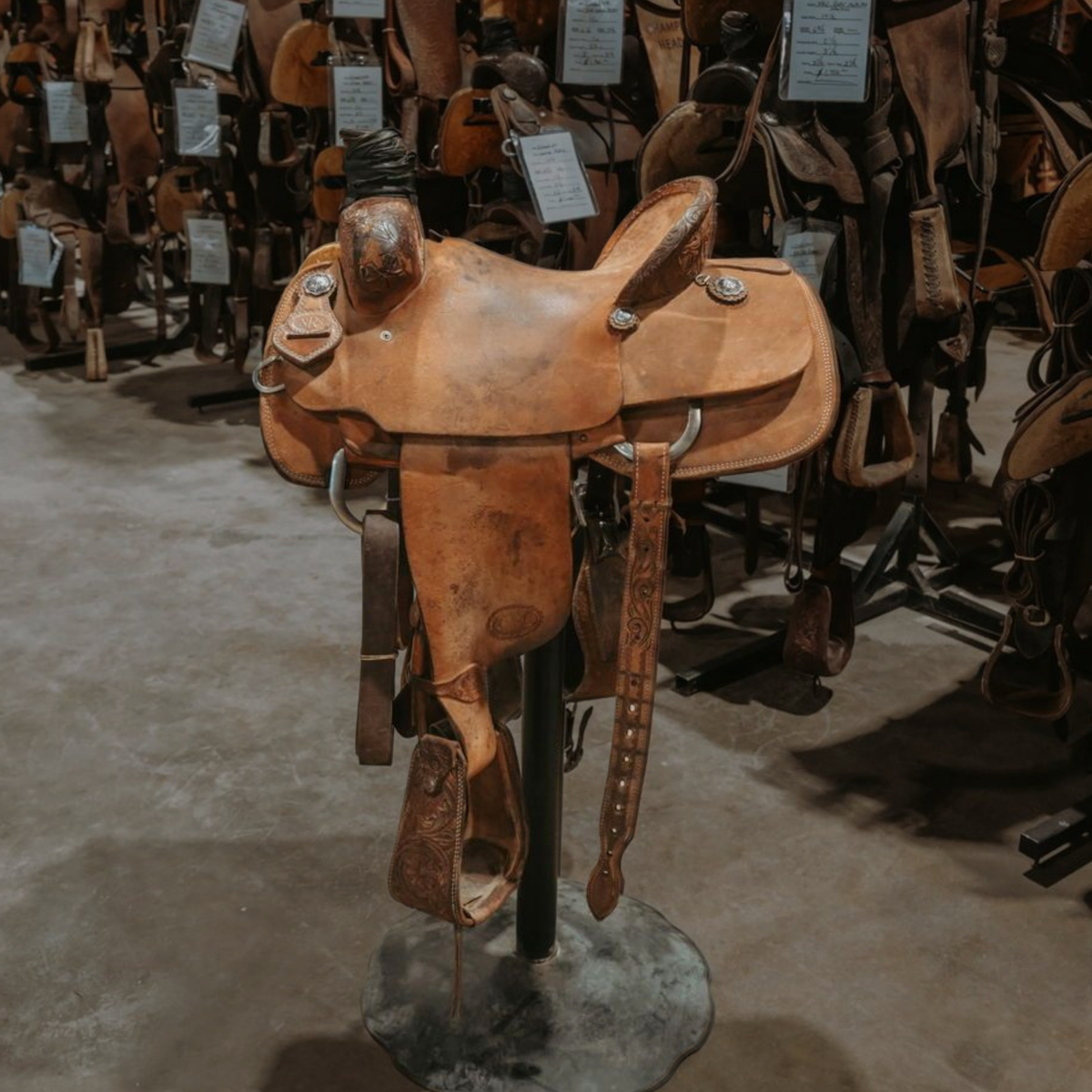 All Used Saddles