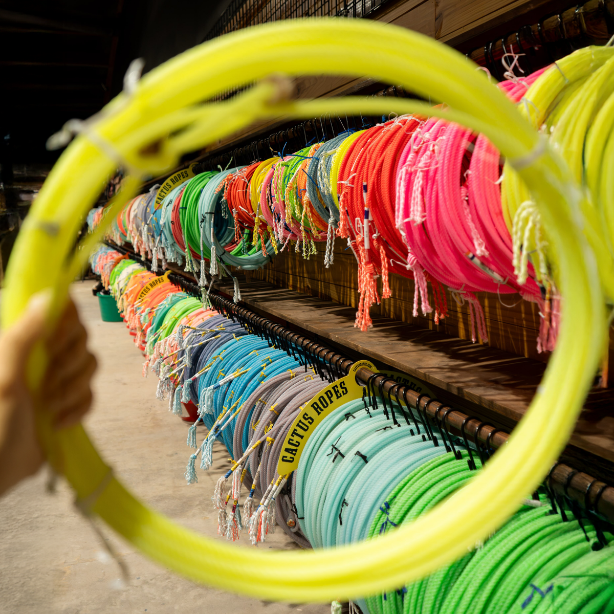 All Ropes & Accessories