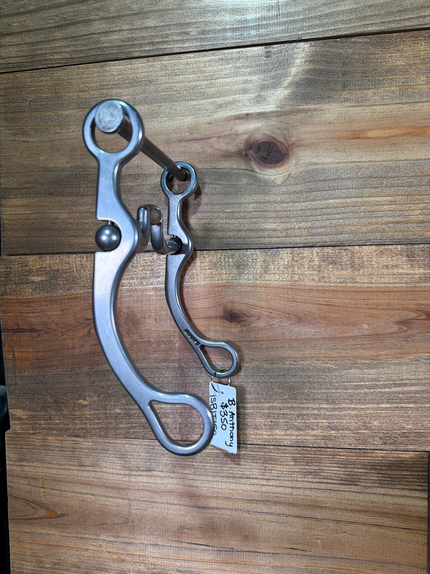 ISBIT150 Brandon Anthony Hinge Port