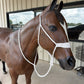 02 Mule Tape Halter 2" Nose