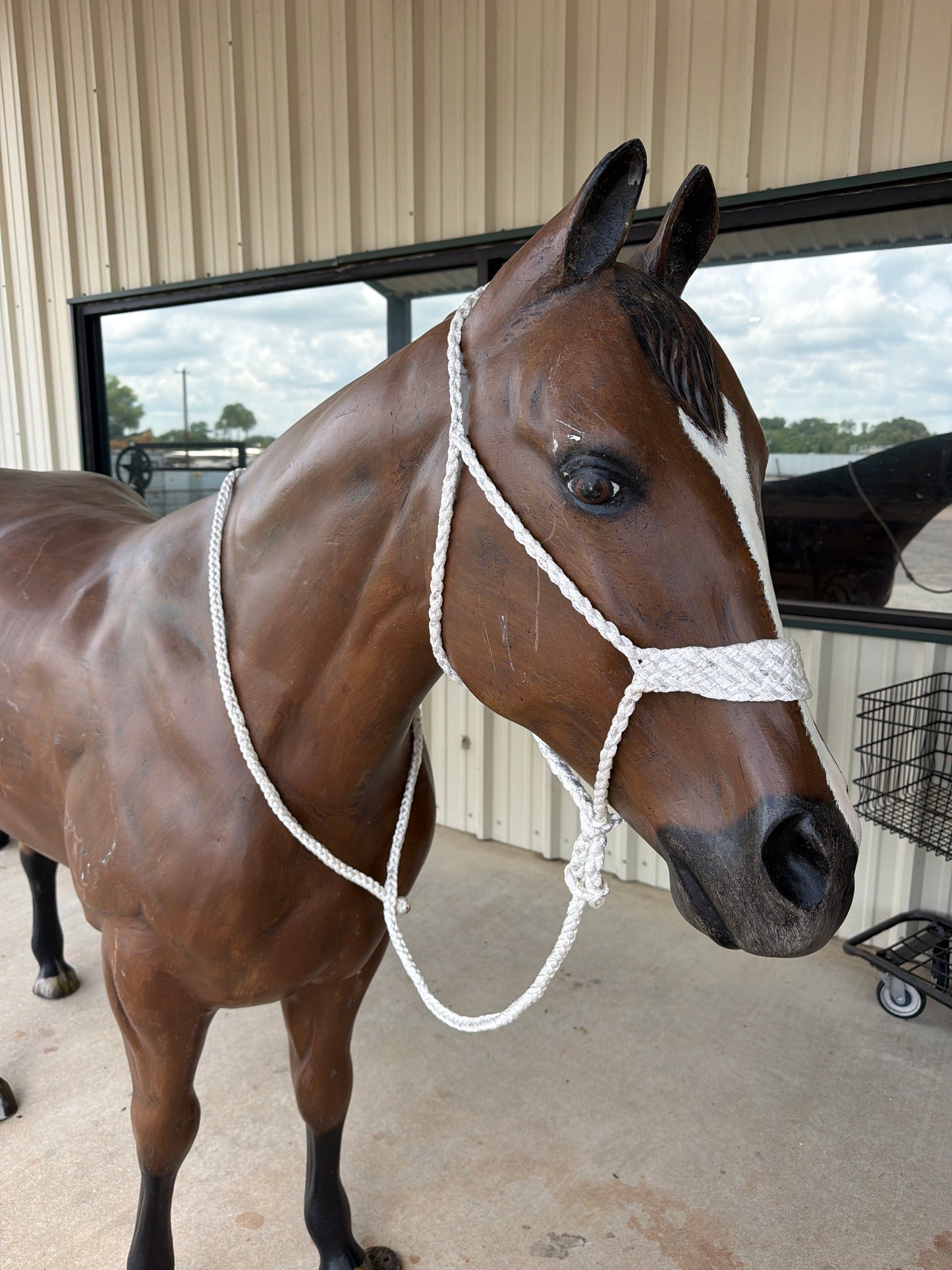 02 Mule Tape Halter 2" Nose