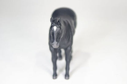 Little Buster's Quarter Horse Black