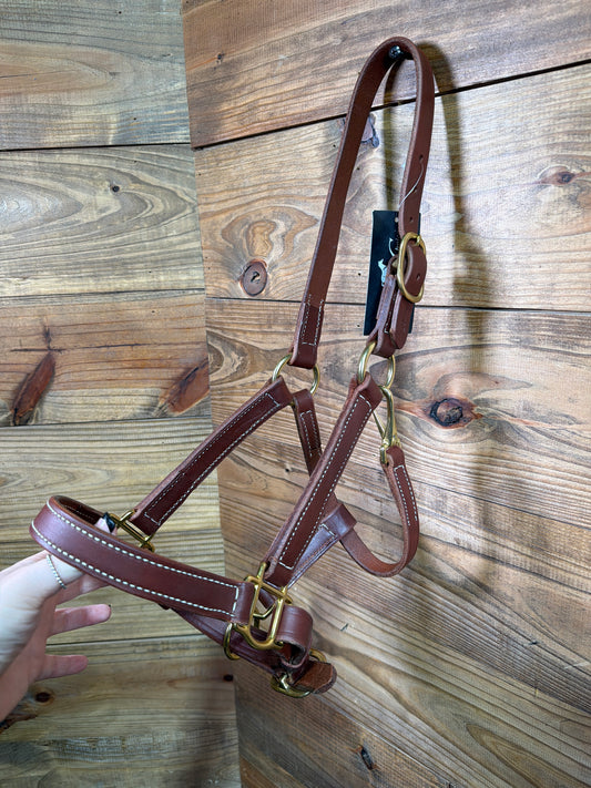 Professional Choice Turnout Halter Average