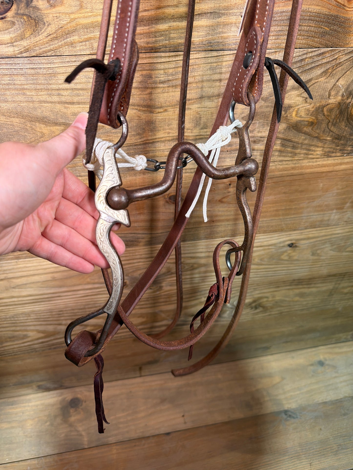 ISUB058 Professional Choice Bob Avila Bridle