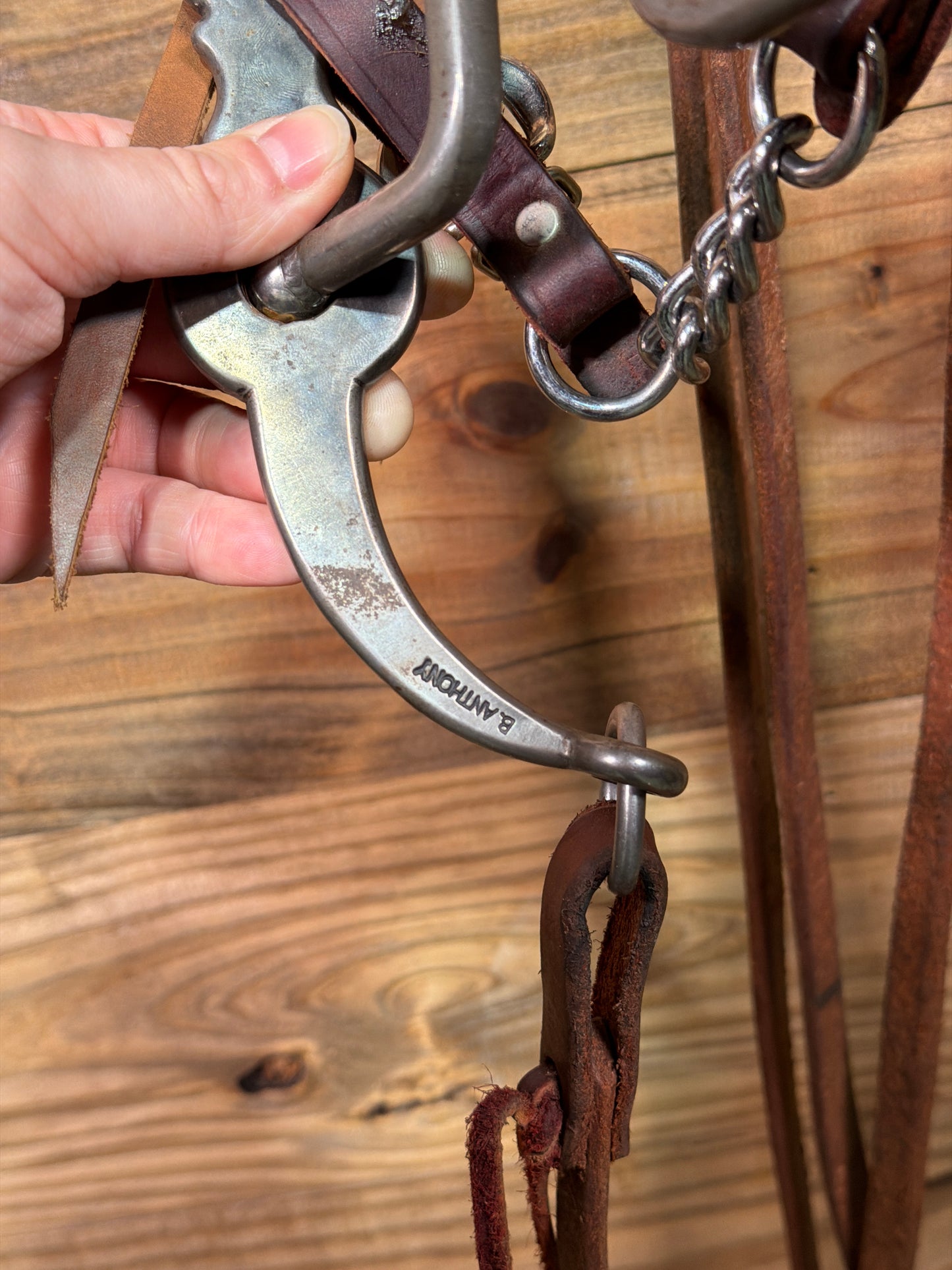 ISUB059 Brandon Anthony Loomis Port Bridle