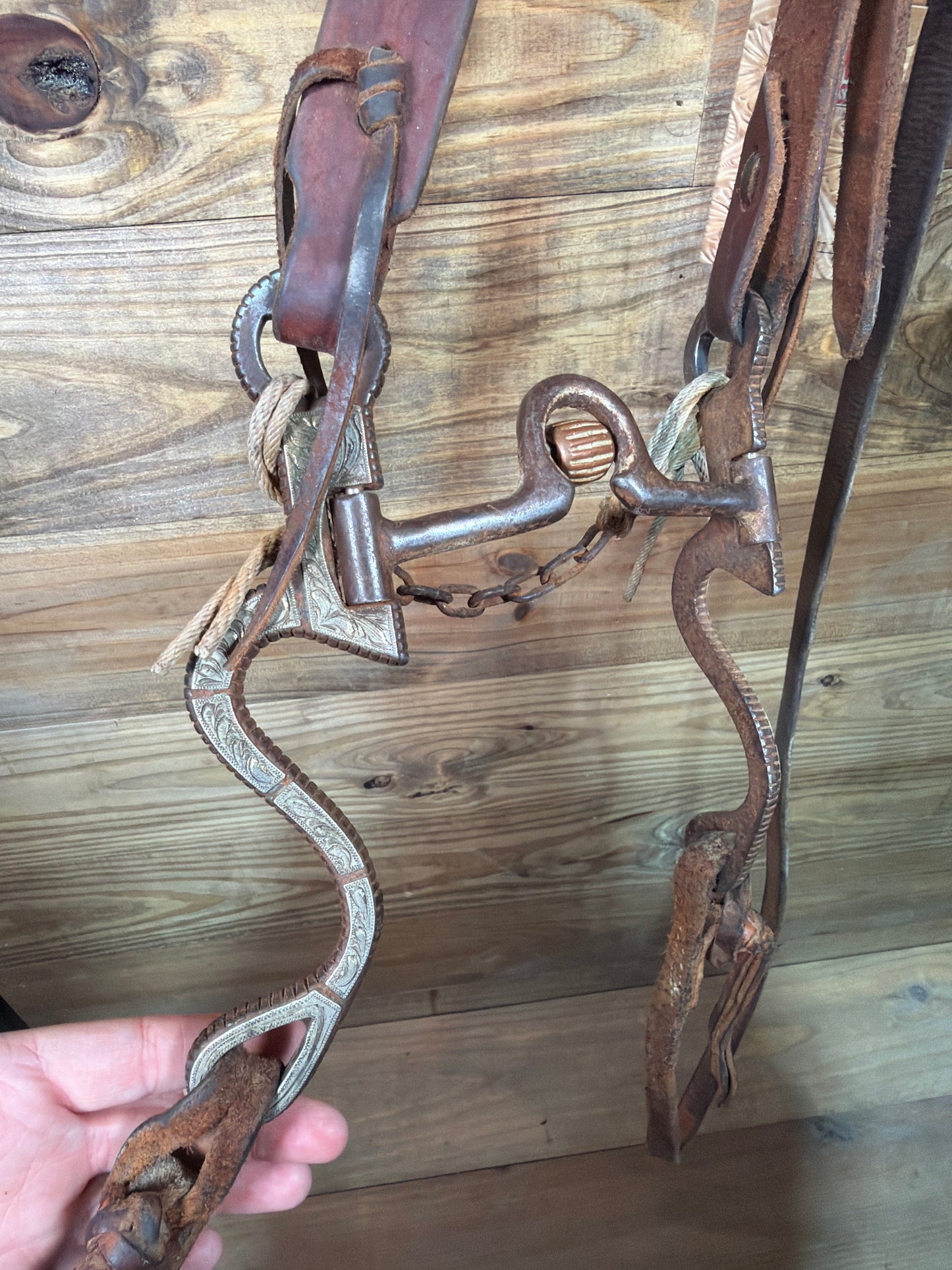 ISUB064 Turtle Stamped Handmade Bridle
