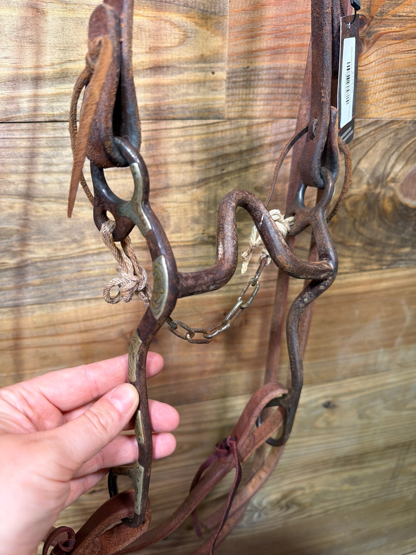ISUB073 Avila Stamped Bridle