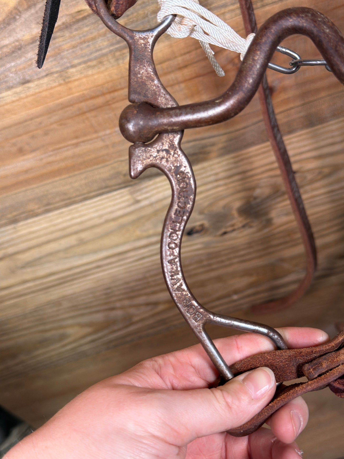 ISUB058 Professional Choice Bob Avila Bridle