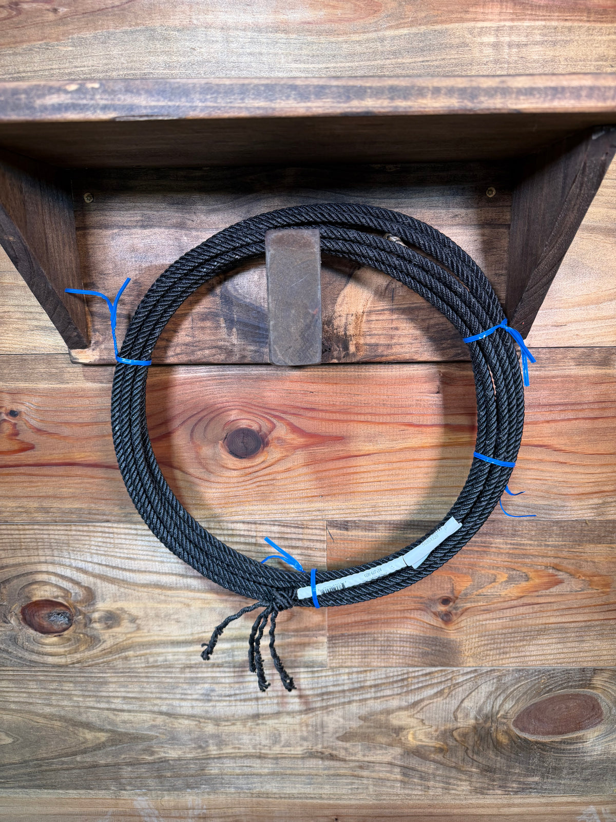 Fast Back Lil Cobra Kid Ropes