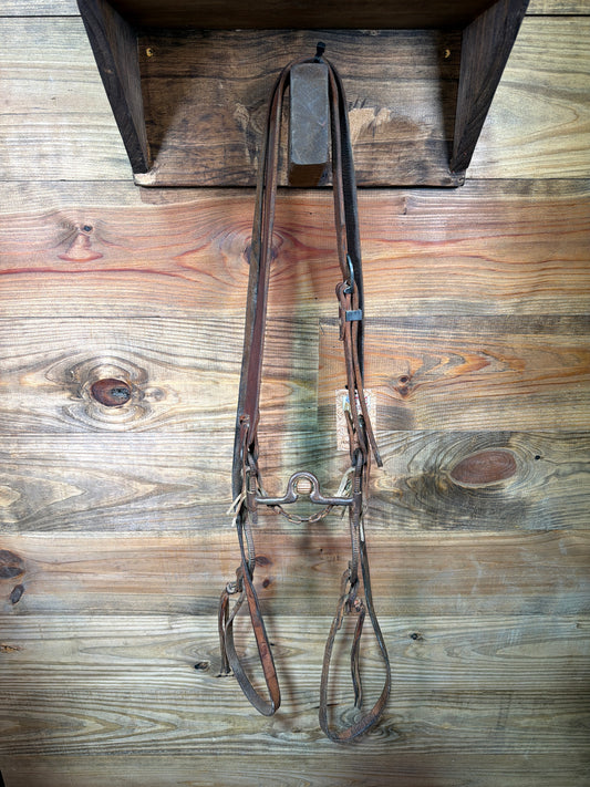 ISUB064 Turtle Stamped Handmade Bridle