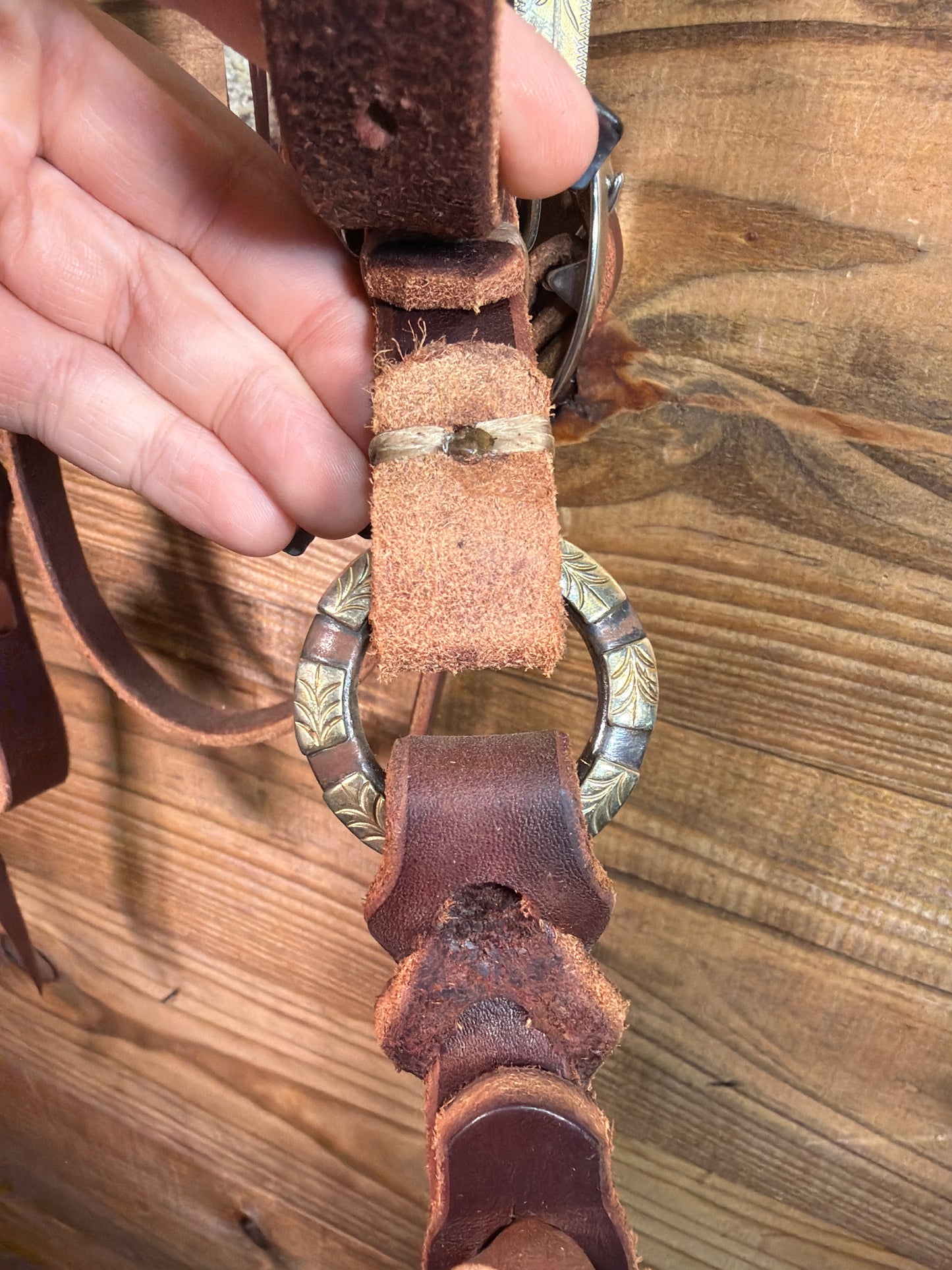 Joe Hipp Latigo Browband Headstall w/ Teskey's Buckle & Rings