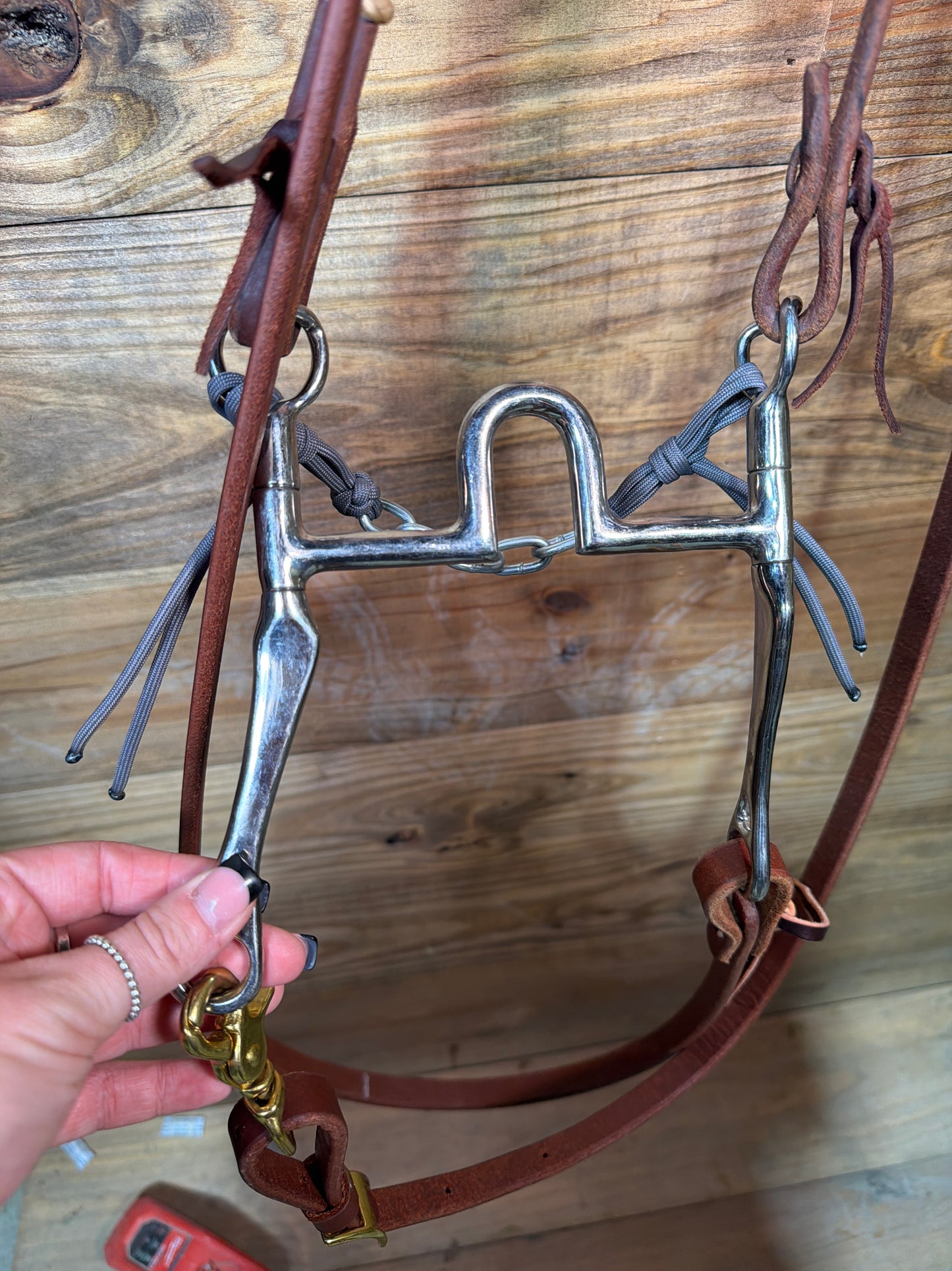ISUB089 Big Bridle Copy w/ Jose Ortiz Headstall