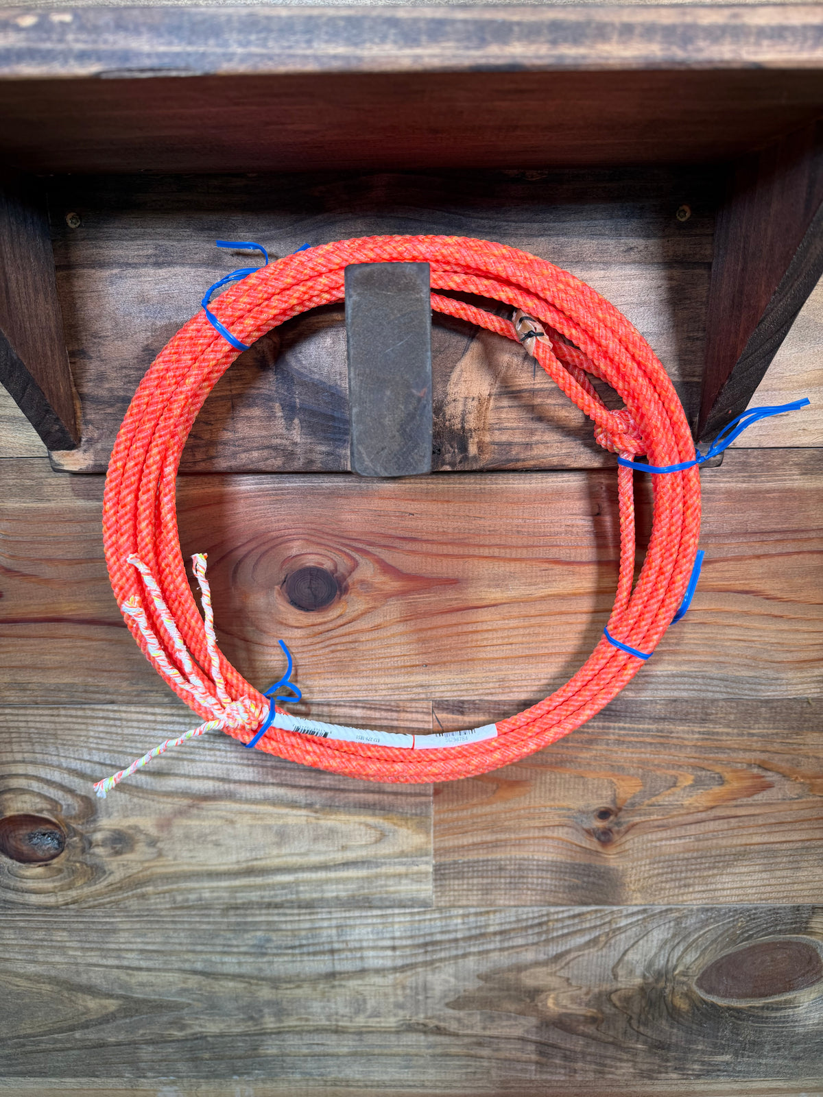 Fast Back Lil Cobra Kid Ropes