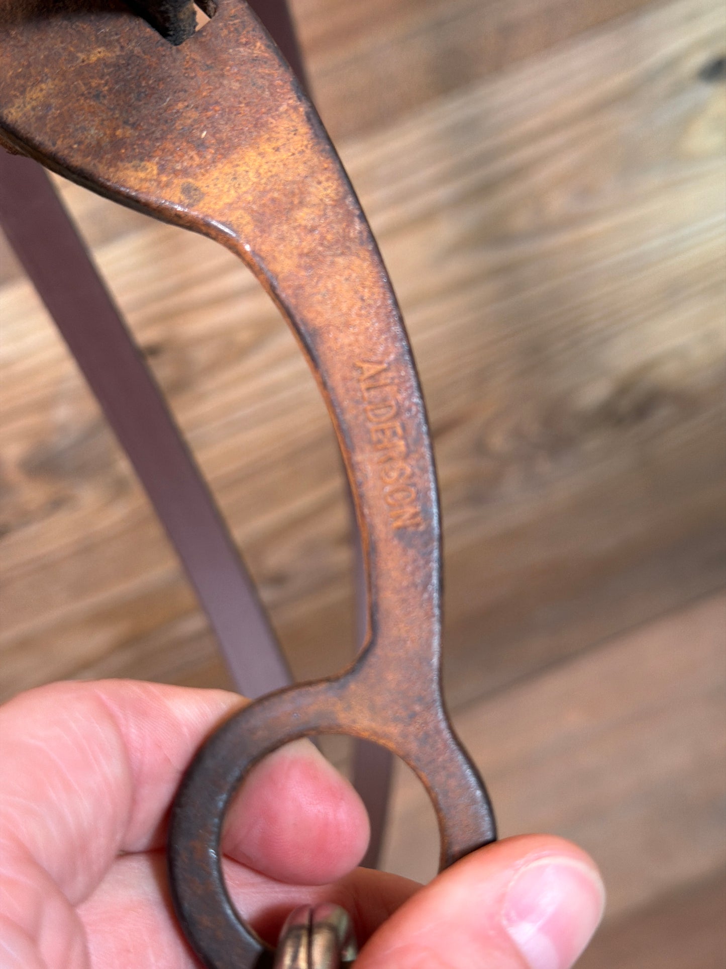 ISUB075 Gordie Alderson Leather Mouth Piece Bridle