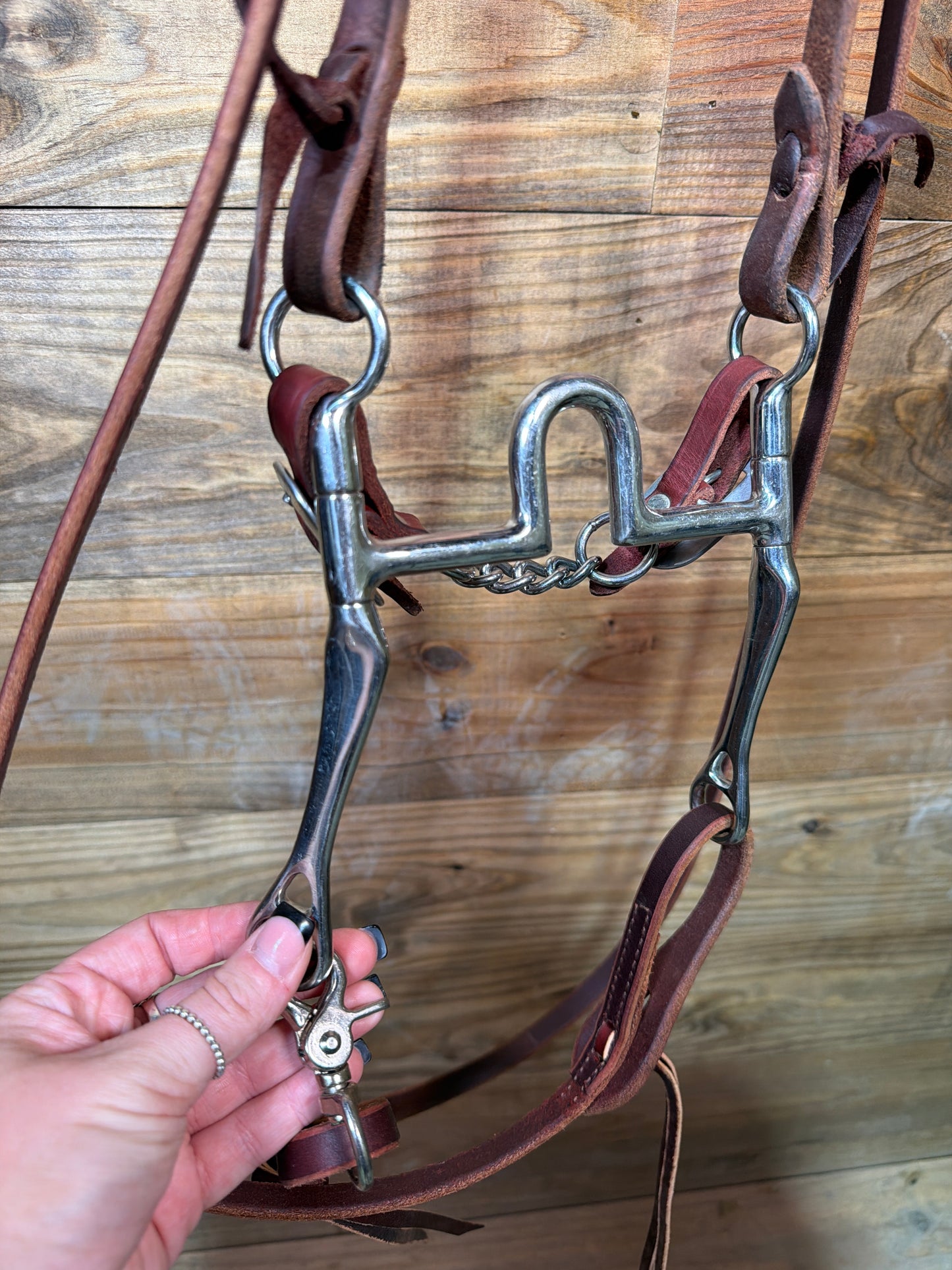 ISUB091 Big Bridle Copy w/ Jose Ortiz Headstall