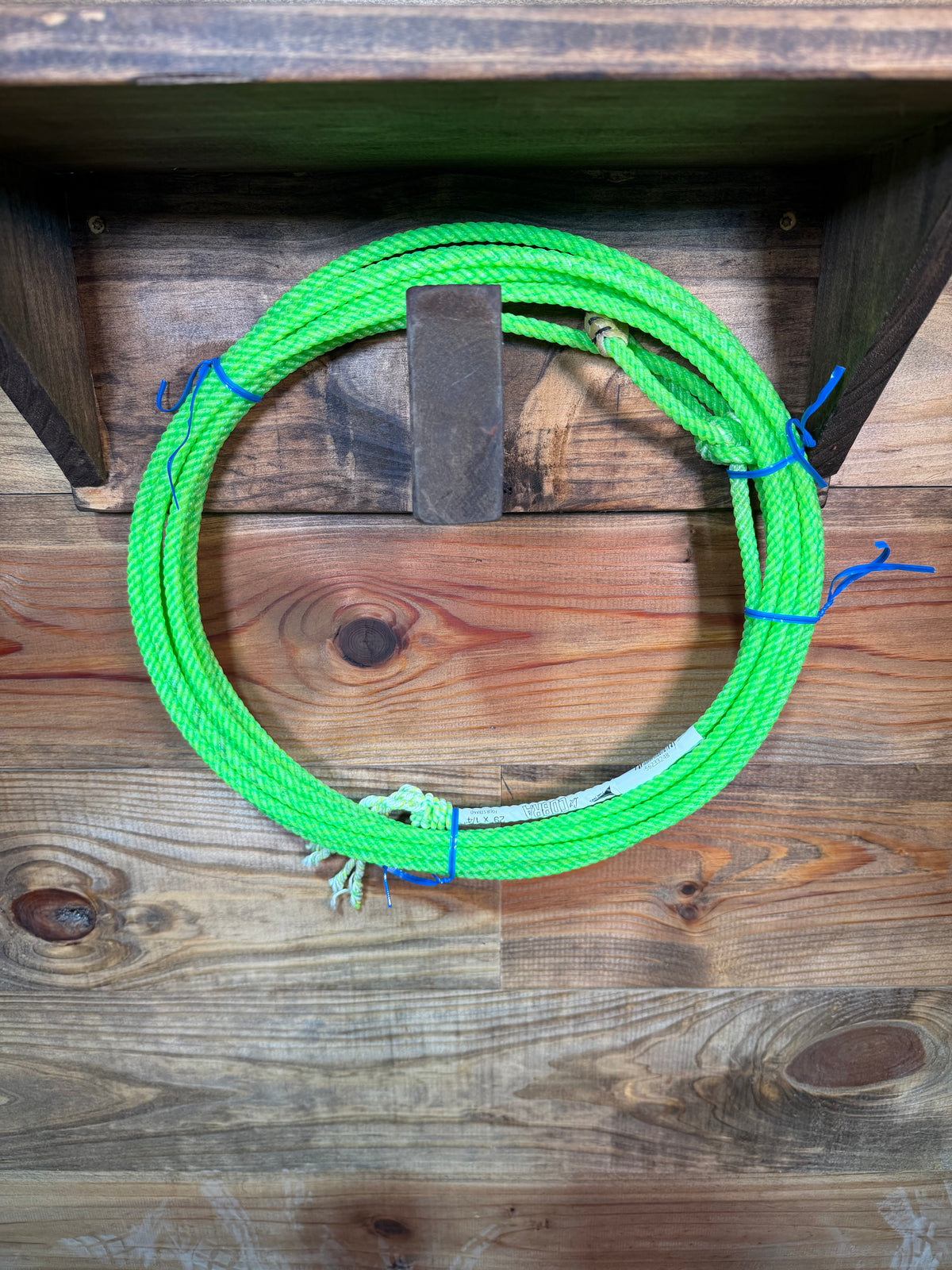 Fast Back Lil Cobra Kid Ropes