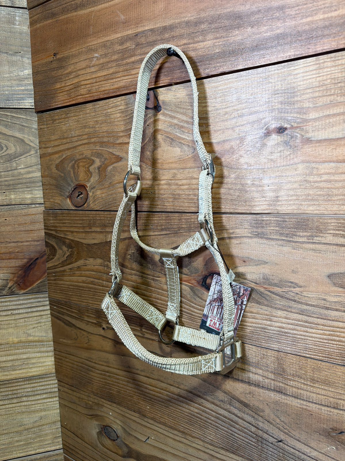 Pony/Colt Billy Cook Buckle Tan