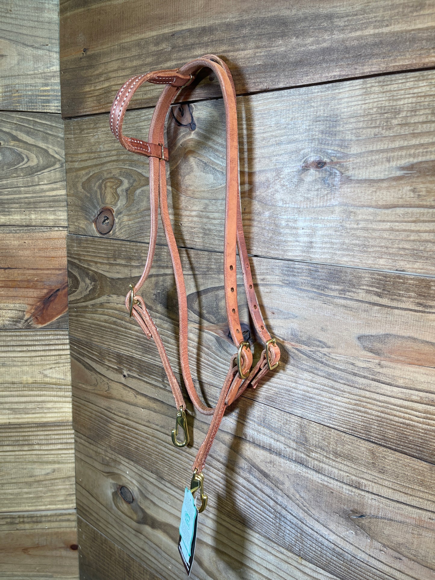 H251 Double Brass Clip Slide Ear Headstall