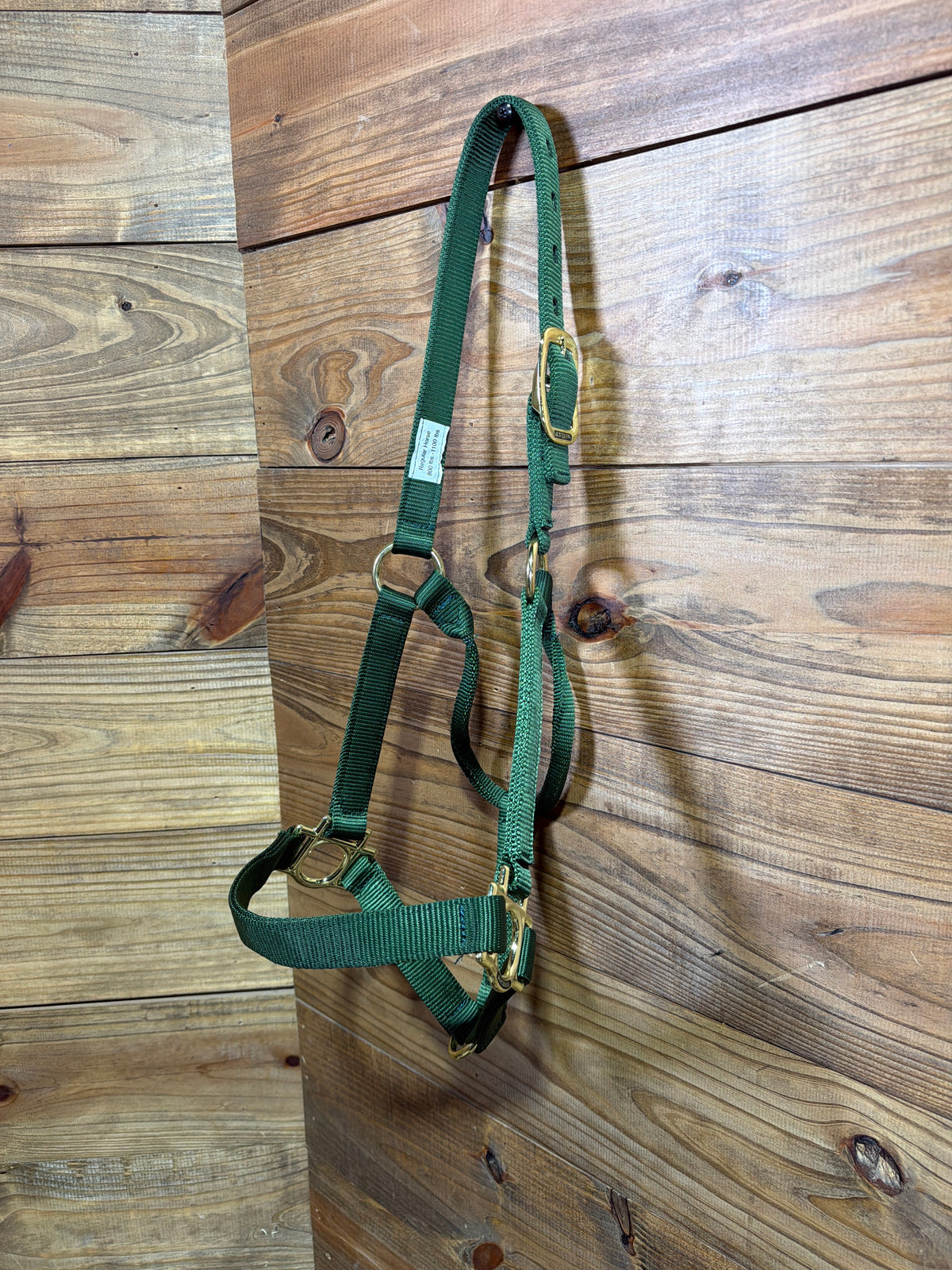 Mustang Nylon Buckle Halter Green