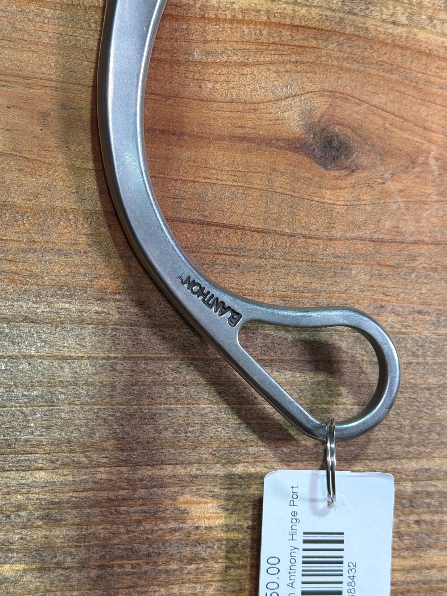 ISBIT148 Brandon Anthony Hinge Port