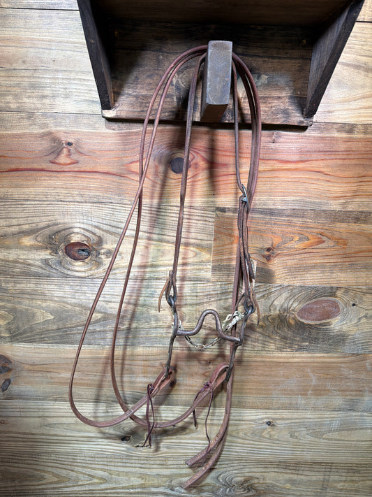 ISUB073 Avila Stamped Bridle
