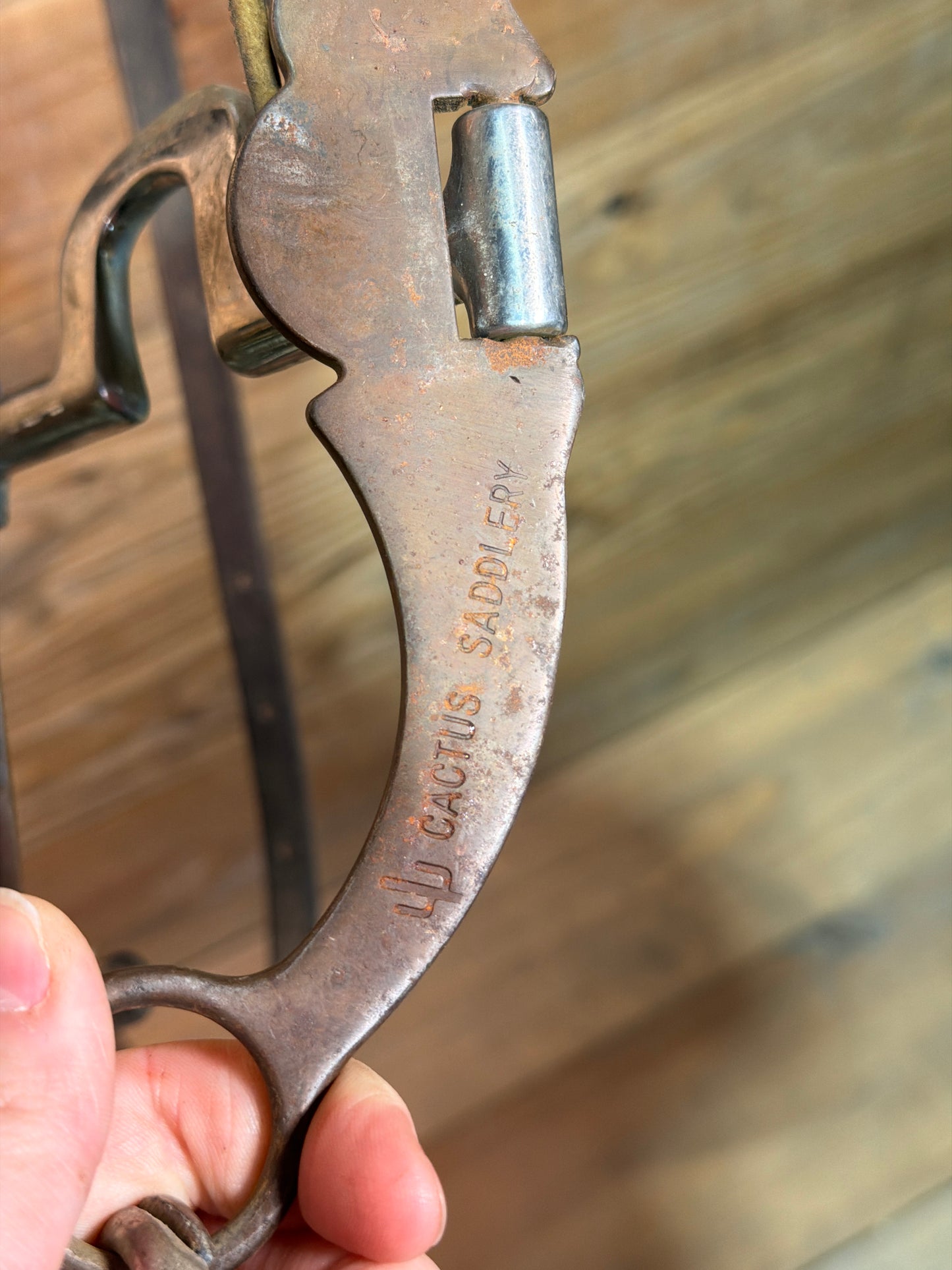 ISUB060 Cactus Saddlery Stamped Bridle