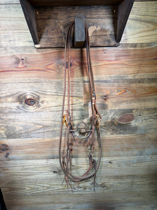 ISUB061 Brandon Anthony Stocker w/ Cricket Bridle