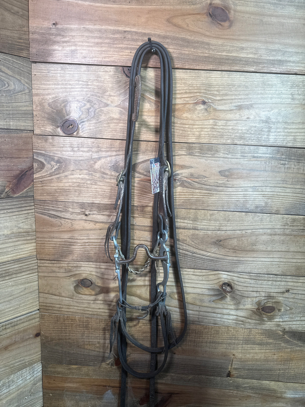 ISUB100 Francois Gauthier Design Bridle