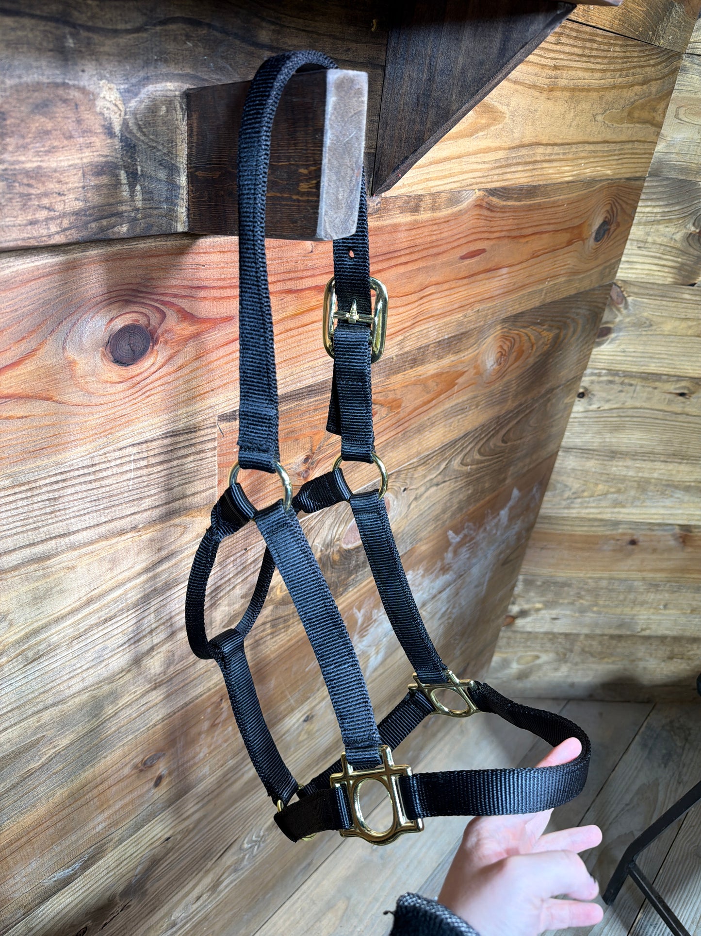 Buckle Halters