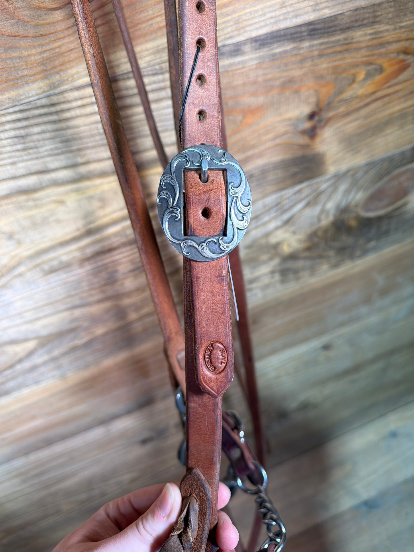 ISUB059 Brandon Anthony Loomis Port Bridle