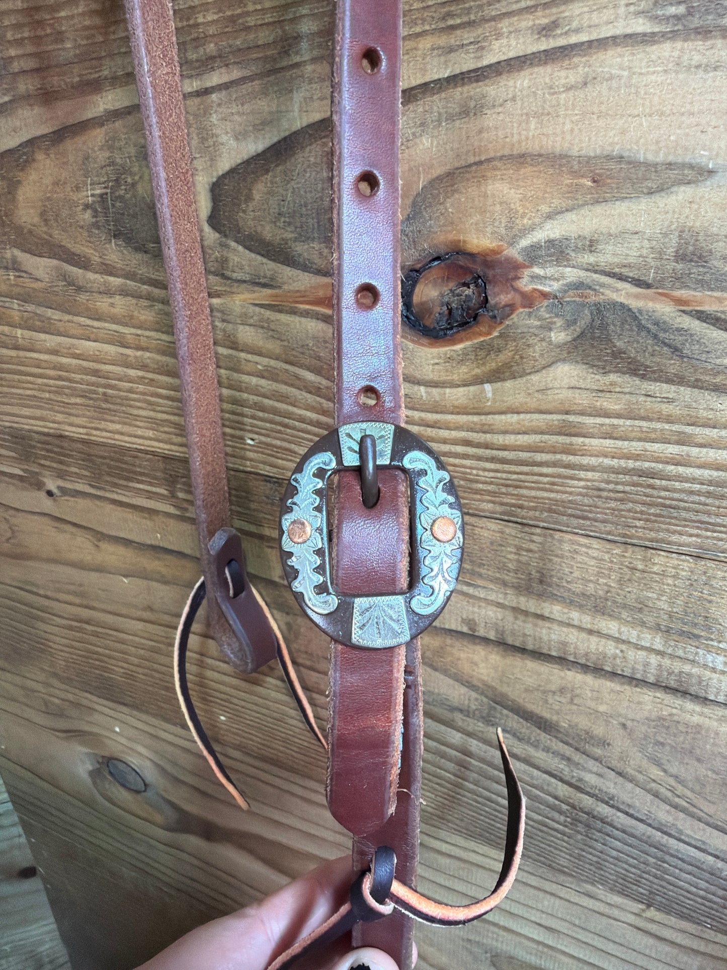 19 Headstall 5/8" Oiled SE Brown Floral Cart Buckle