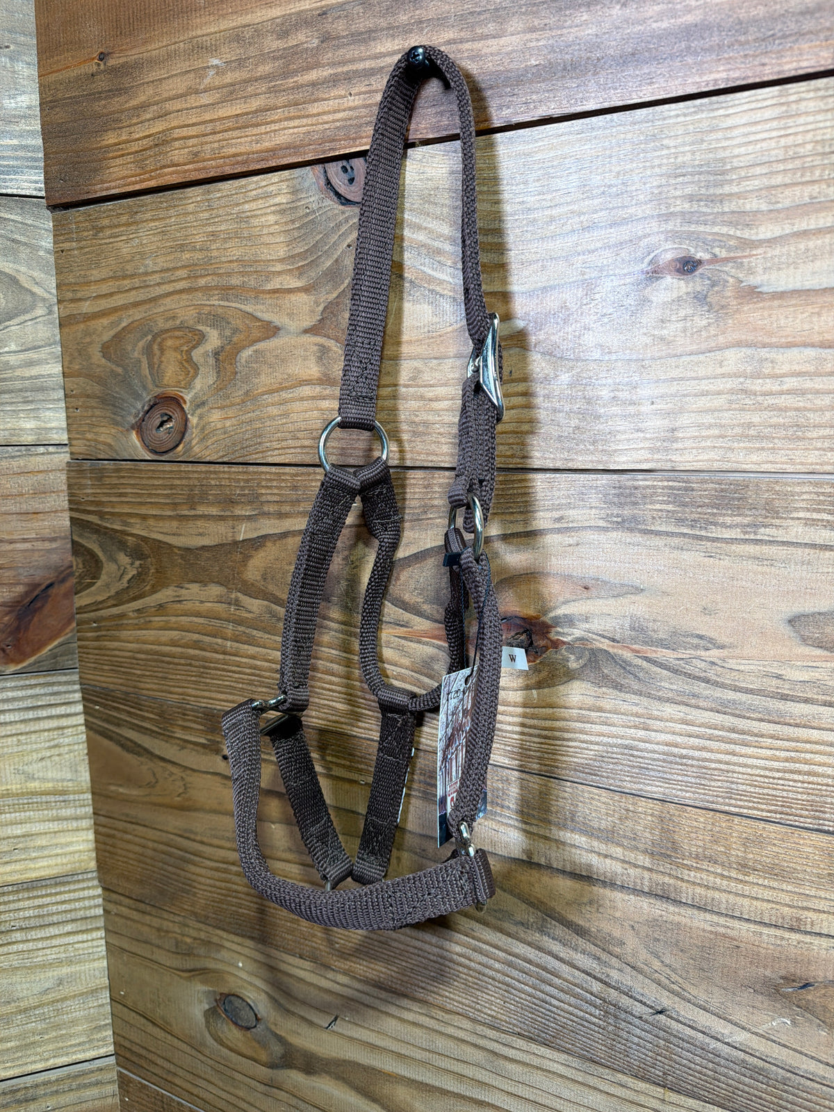 Weanling Buckle Halter Brown