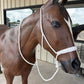 01 Mule Tape Halter 1 1/4" Nose